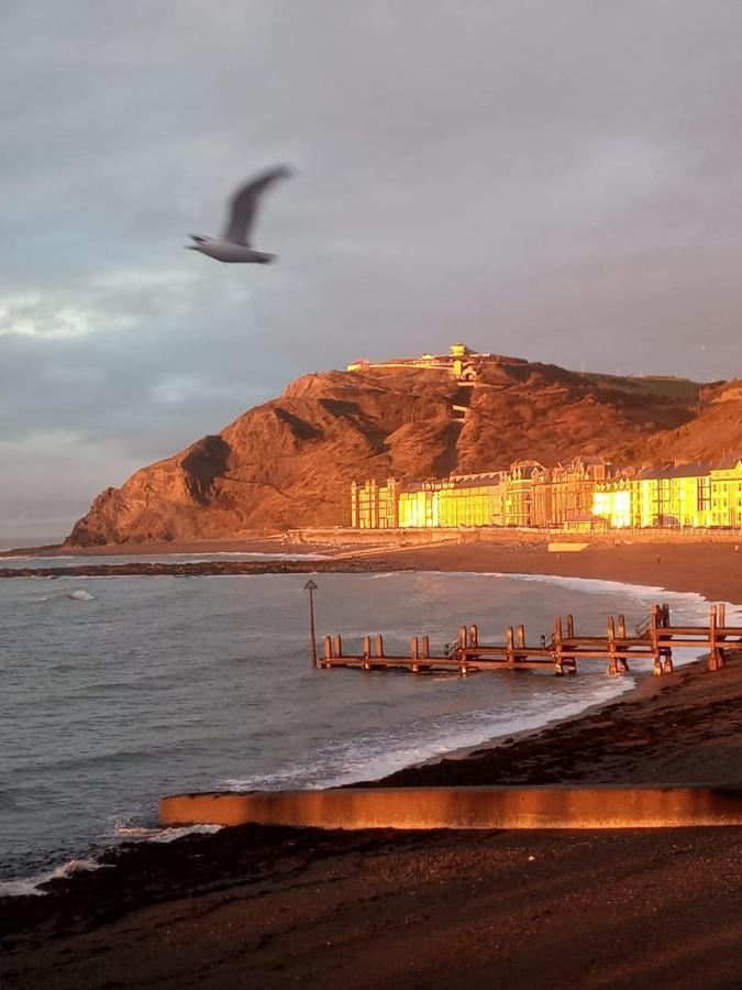 Adail Cottage Aberystwyth Kültér fotó